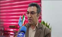 ثبت ۱۸ مورد مسمومیت با قارچ سمی در سال جاری 
