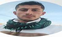  اهدا عضو، اهدا زندگی
